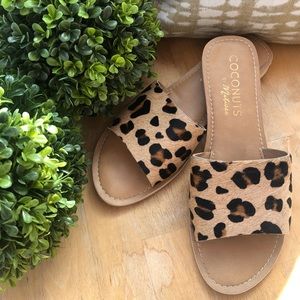 Coconuts by Matisse Leopard Slides